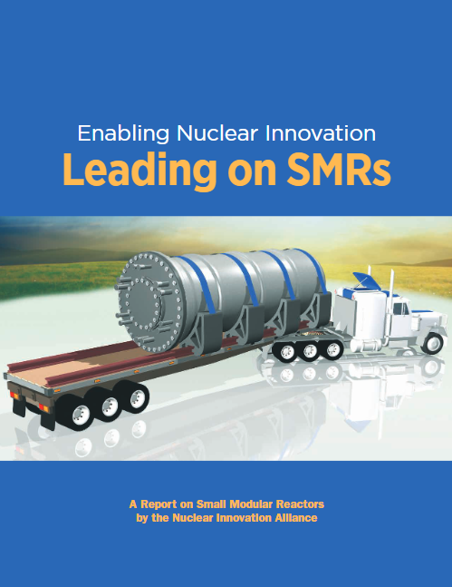 Leading on Small Modular Reactors (SMRs)